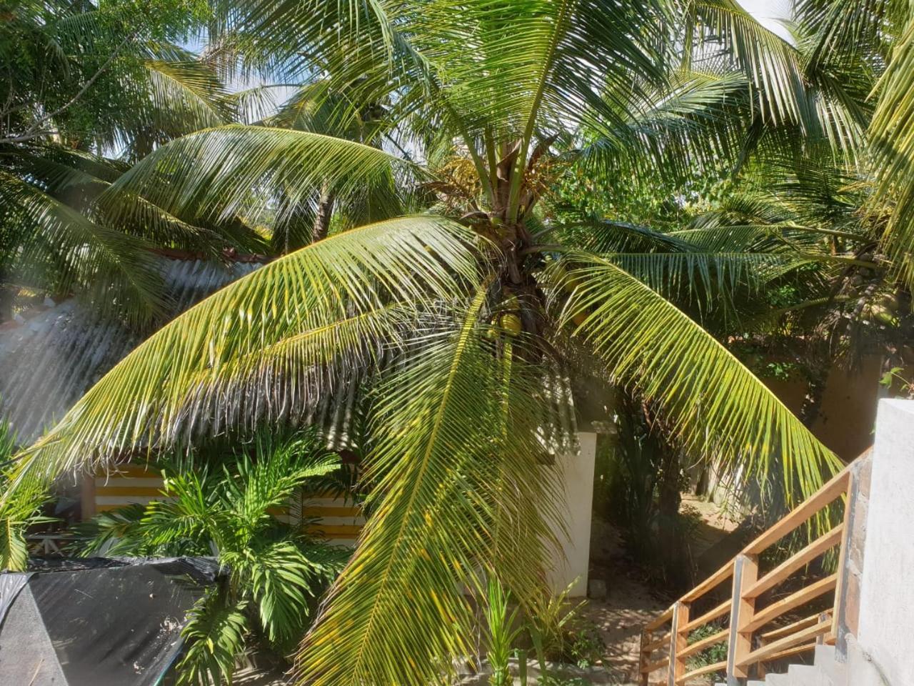 Gems Garden Guest House Тангалла Экстерьер фото